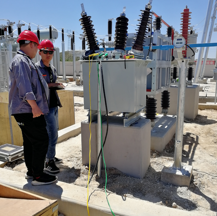 生物質電廠接入主電網電力技術分析