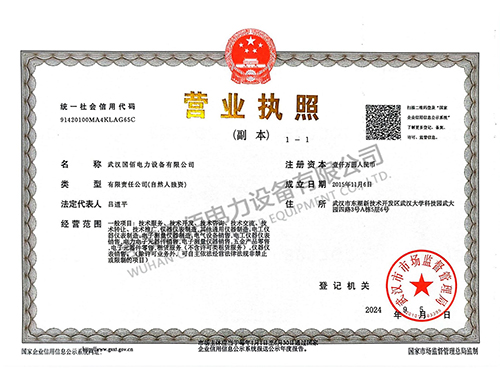  武漢國佰電力新營業執照